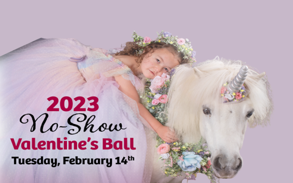 NoShowBall2023 Website 22q primary page image